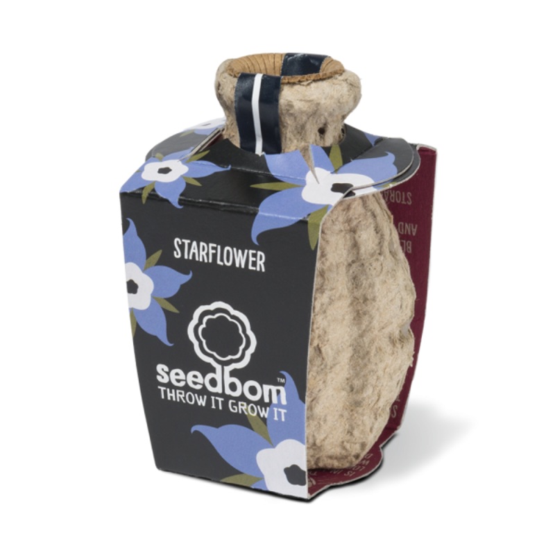 Starflower Seedbom