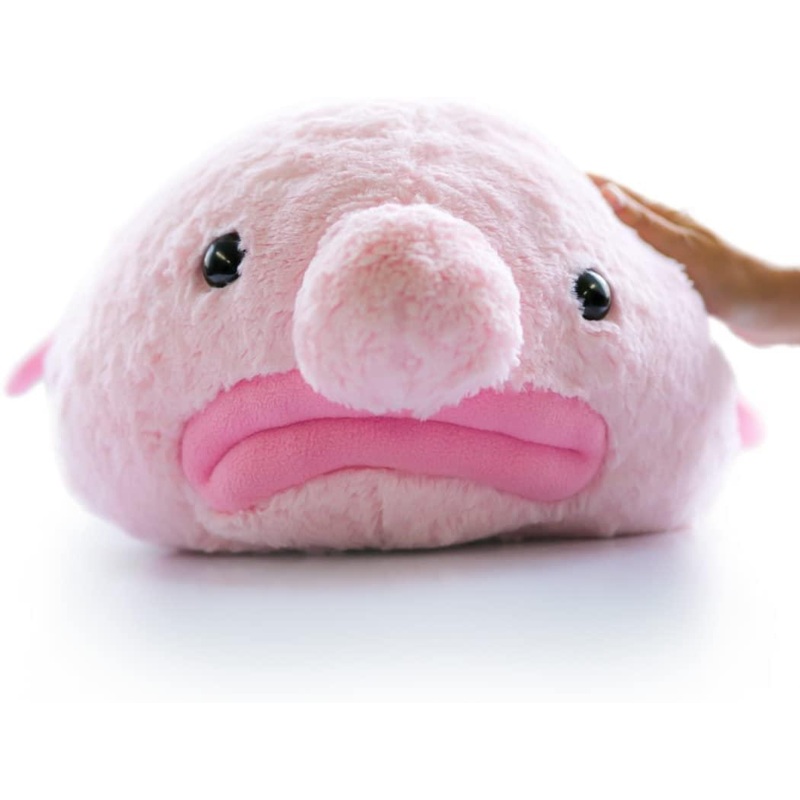 Blobfish 12 Inch Collectible Plush Animal
