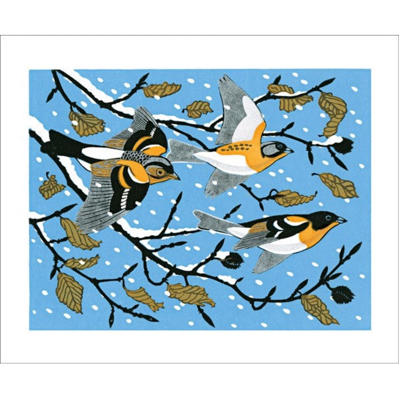 Beech and Bramblings Card