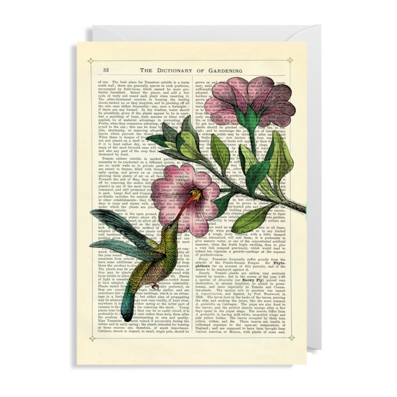 Hummingbird and Flower Card