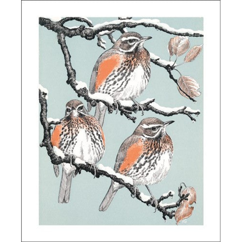 Redwings Card