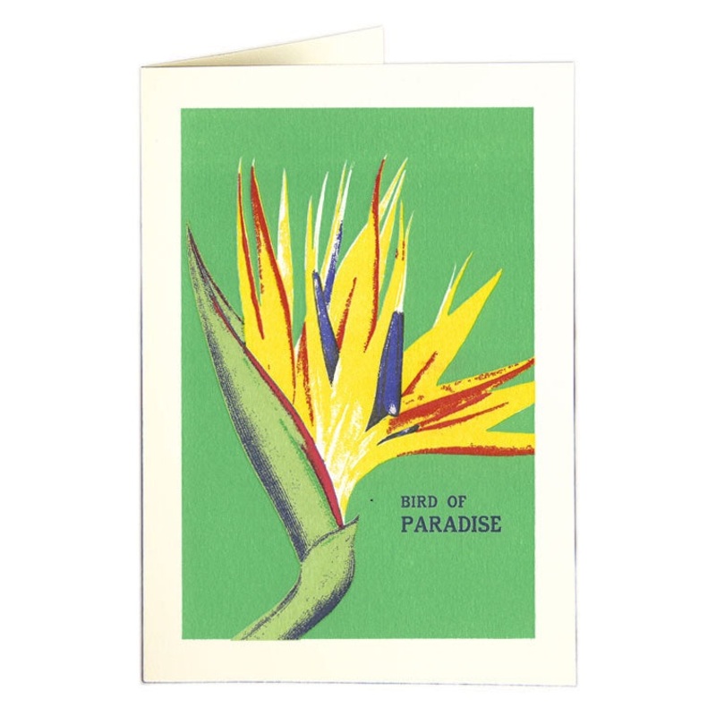 Bird of Paradise Card
