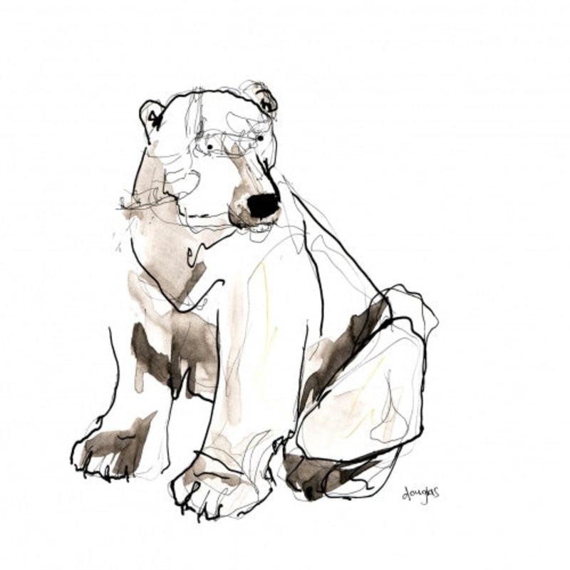 Douglas Polar Bear Card by Catherine Rayner