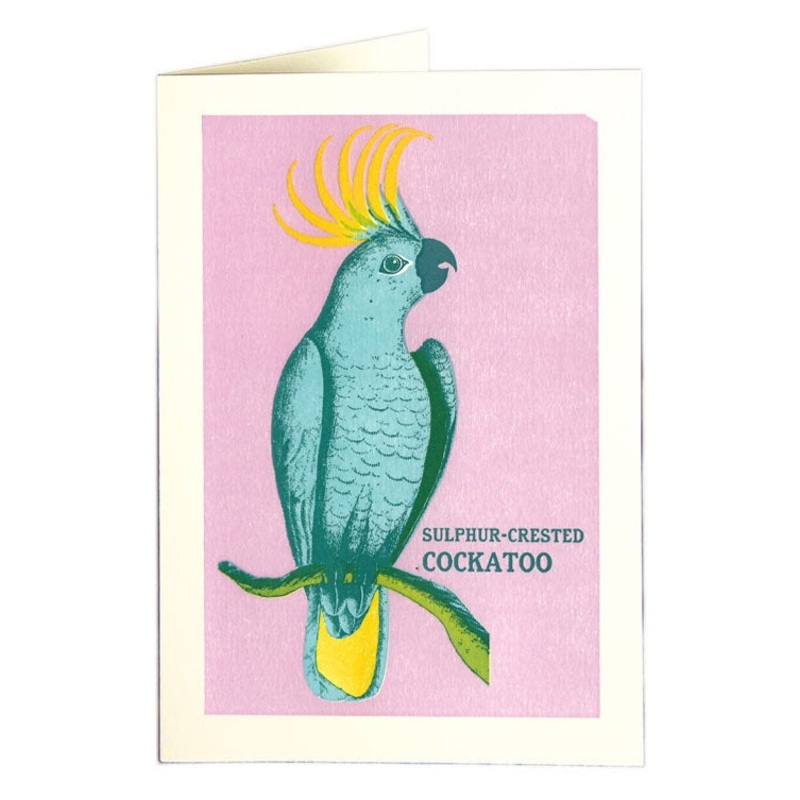 Sulphur-Crested Cockatoo Card