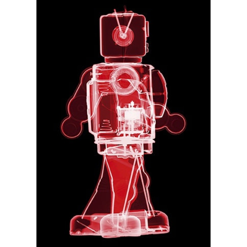 Red Robot X-Ray Card
