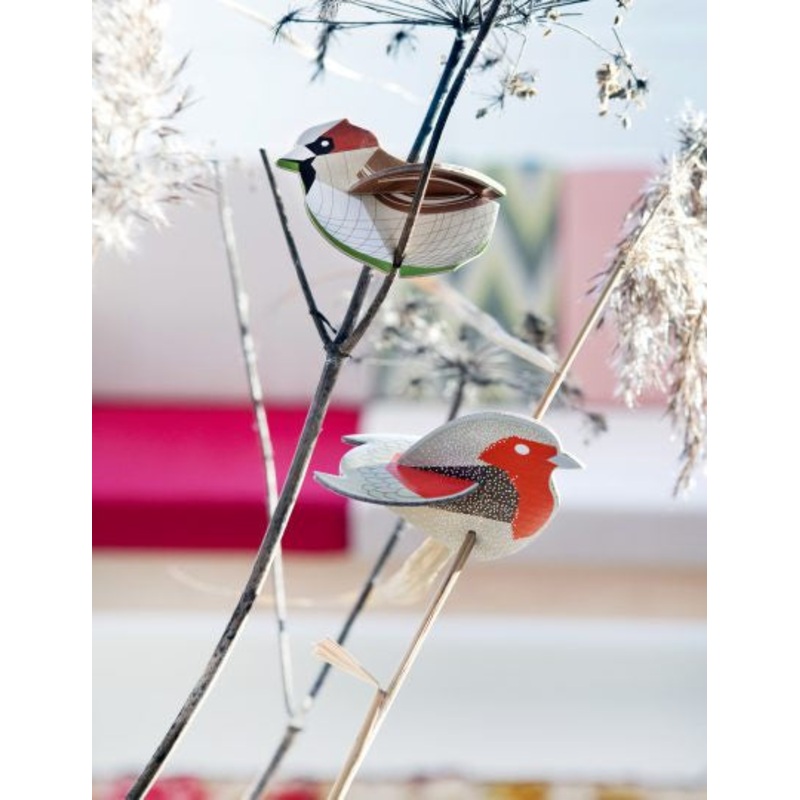Robin and Sparrow Pop Out Card