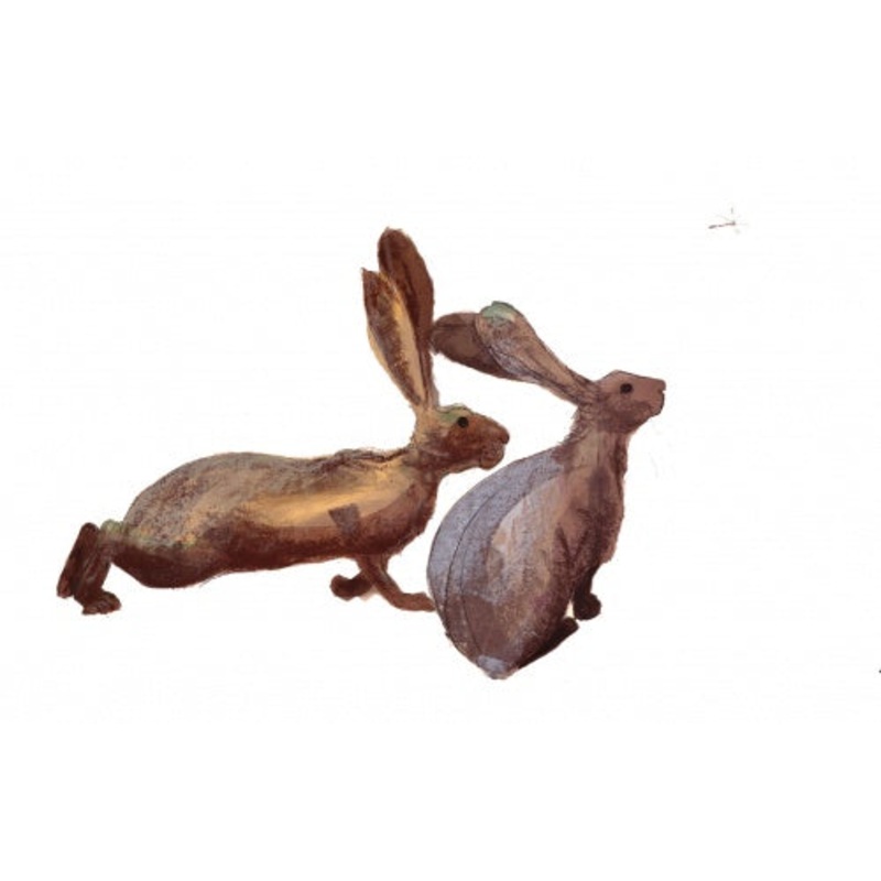Angus and Merle Card by Catherine Rayner