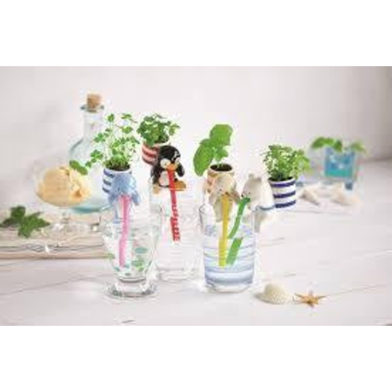 Chuppon Drinking Animal Planter Sea Friends 4 Designs