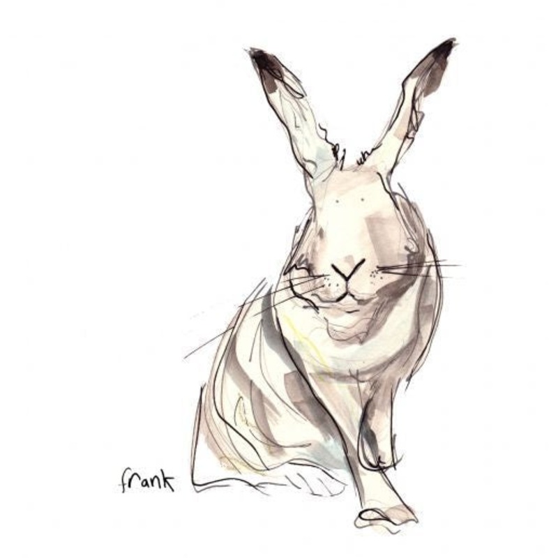 Frank White Rabbit Card by Catherine Rayner