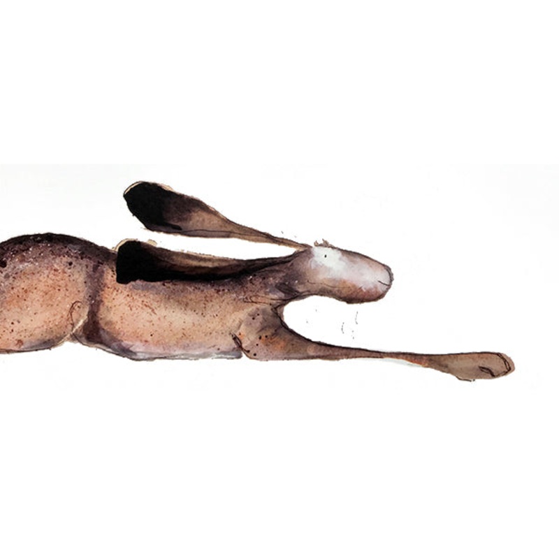 Gerald Card by Catherine Rayner