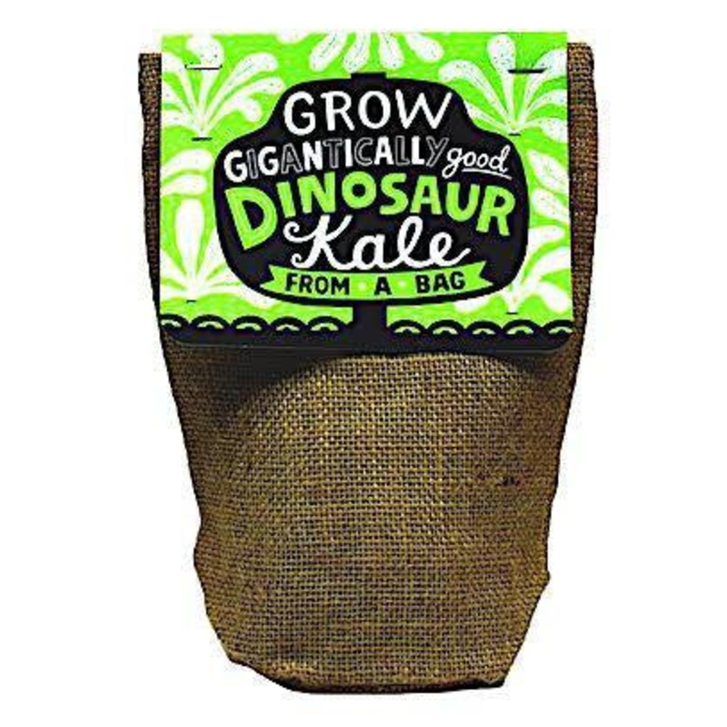 Gigantially Good Dinosaur Kale Bag Plant Kit