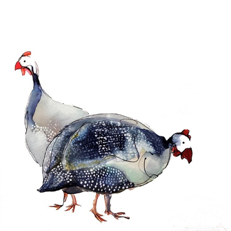 Glynis and Tony Turkey Card by Catherine Rayner