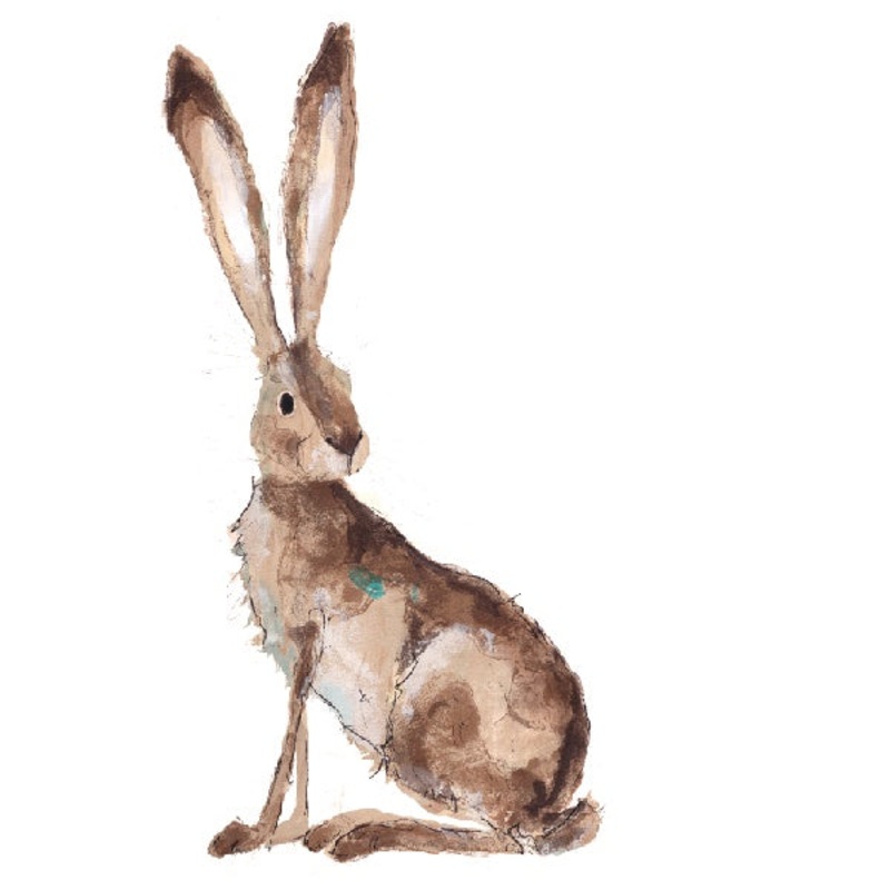Hilary Card by Catherine Rayner