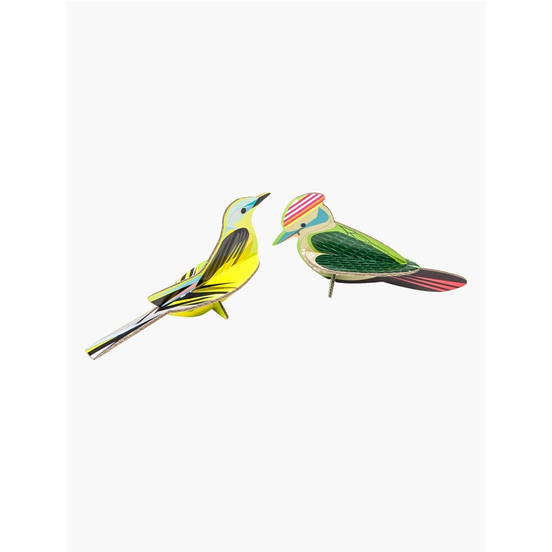 Woodpecker and Wagtail Pop Out Card