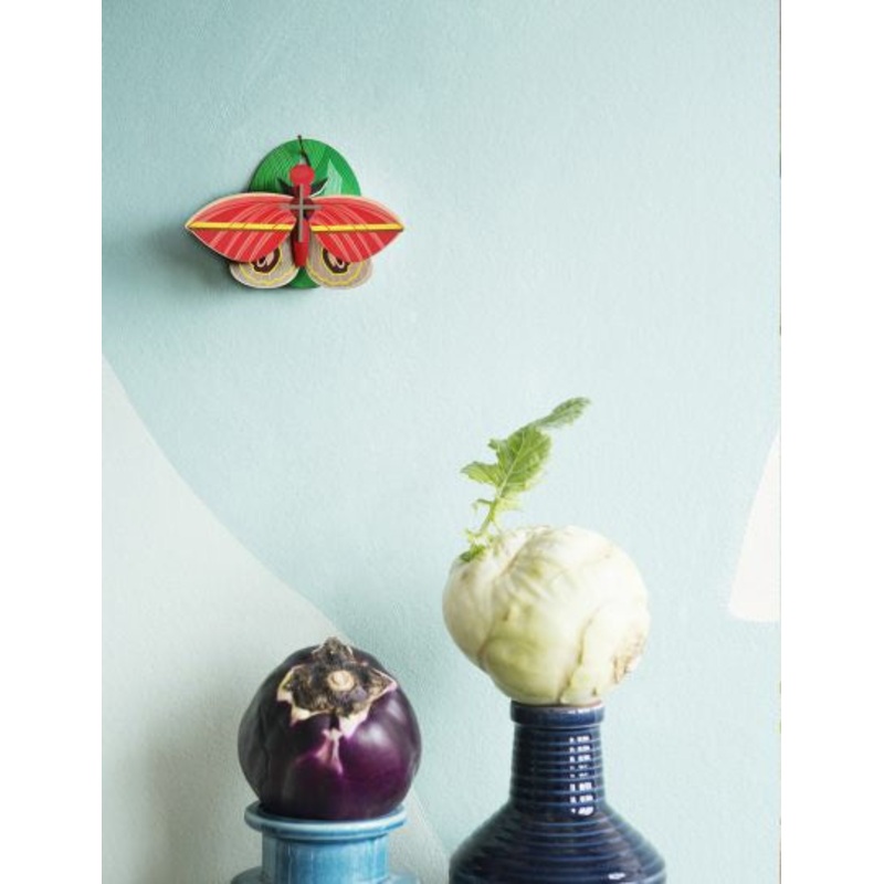 Emperor Moth Wall Decoration